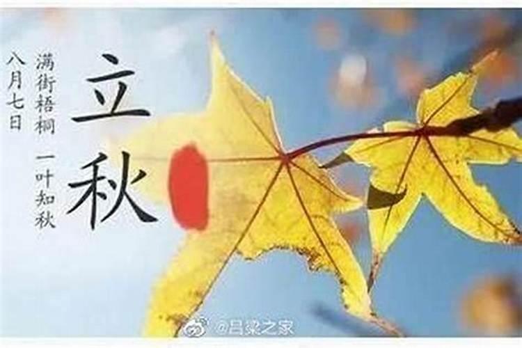立秋后面是哪几个节气？