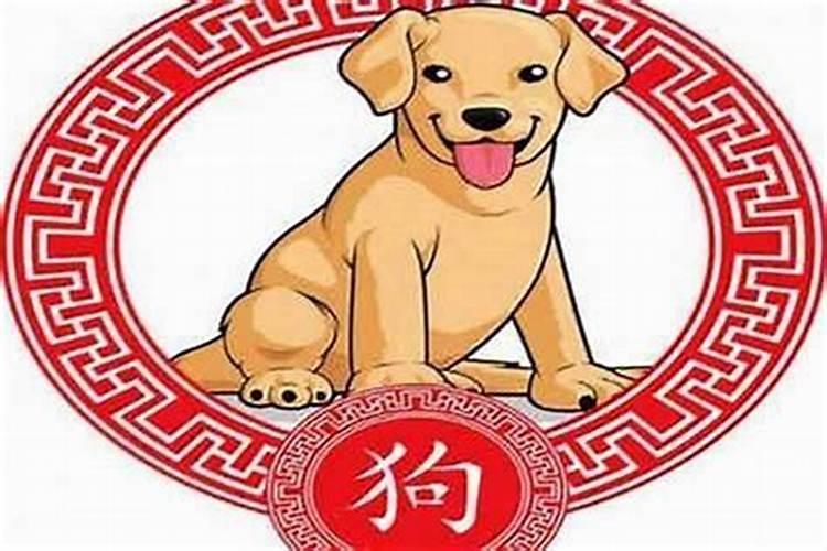 12月属狗的人一生运程