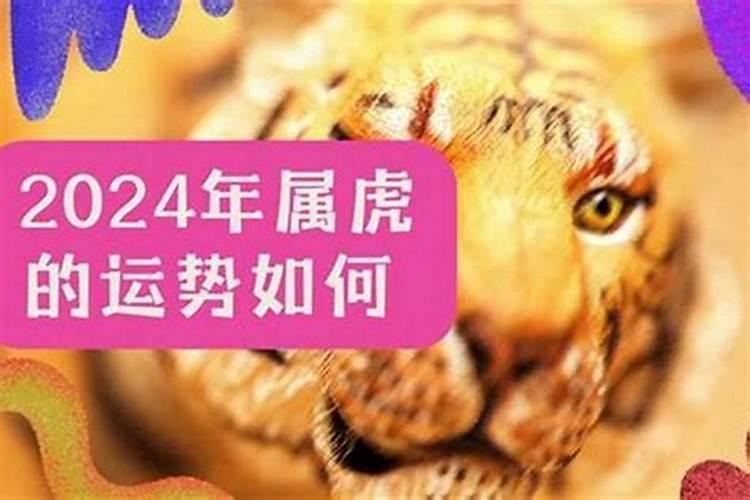 农历六月今年属虎的运势