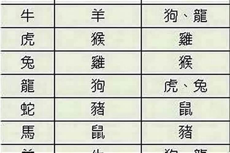 属狗跟属马八字合吗？