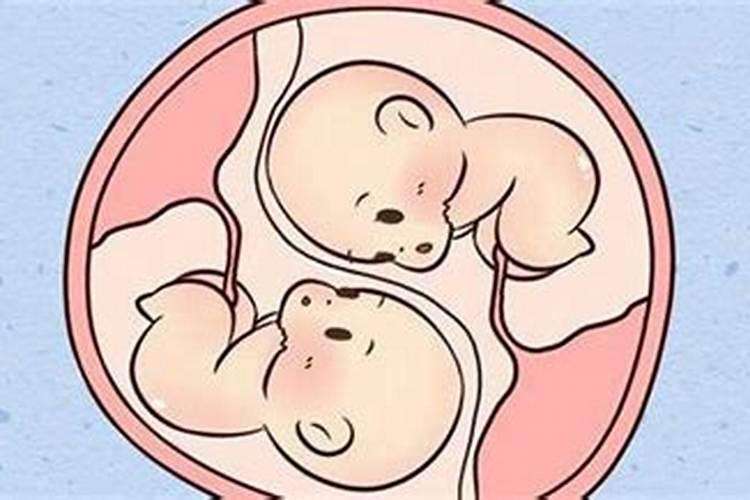 梦见别人生了双胞胎