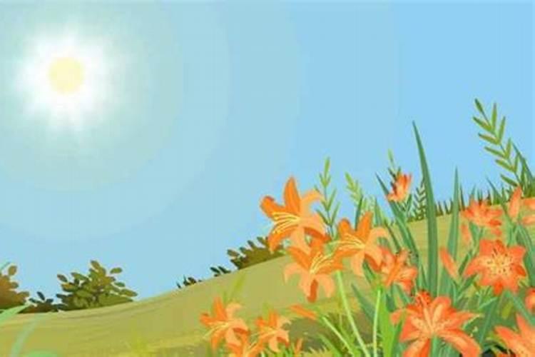 立夏时节早晨几点天就亮了？