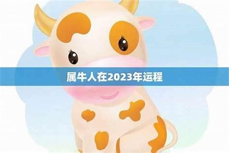 2026年12月份属牛人的运程如何？