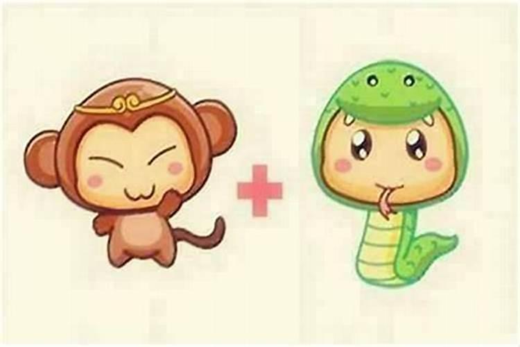 蛇与猴属相婚配好吗？