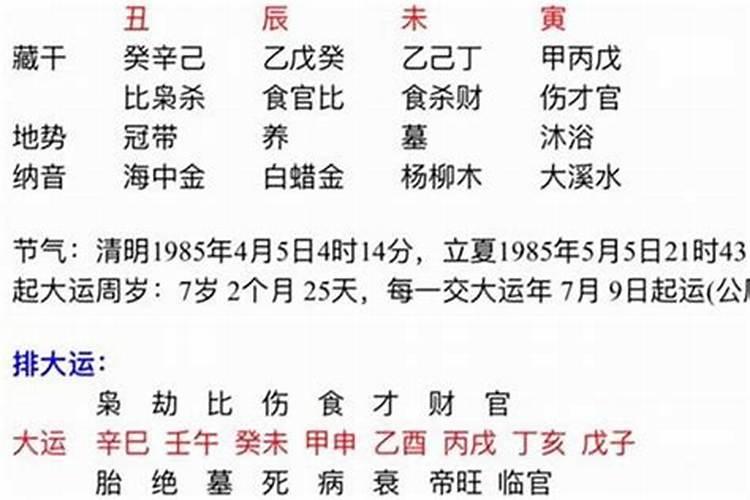 男丁未女辛巳能合婚吗？