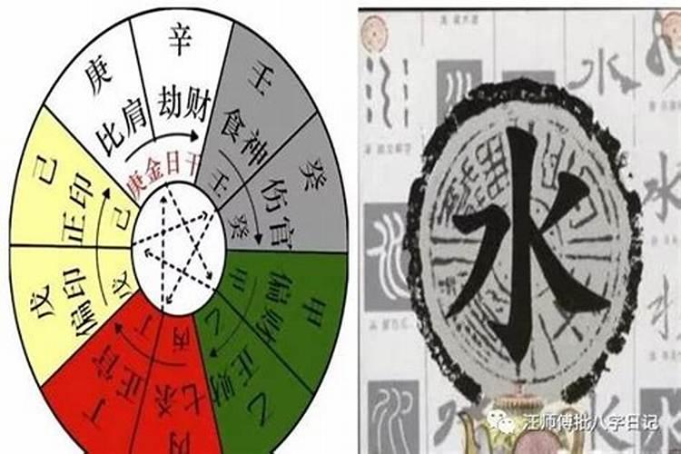 八字里什么叫通根？