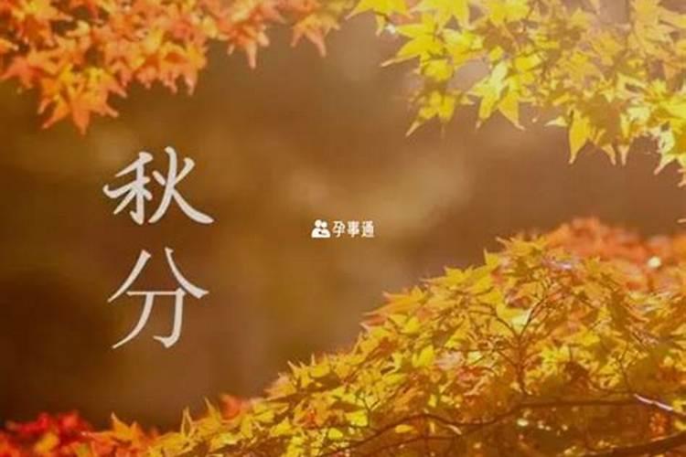 秋分出生的男孩运势