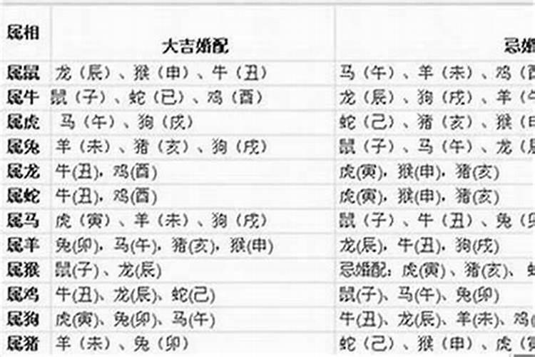 龙狗属相婚配化解