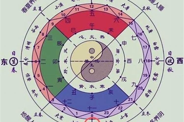 大林木冬至转运