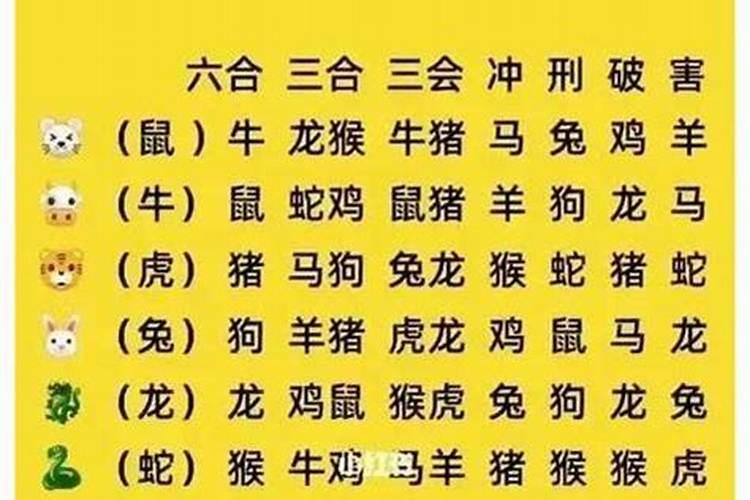 今期运势三八功代表什么生肖？