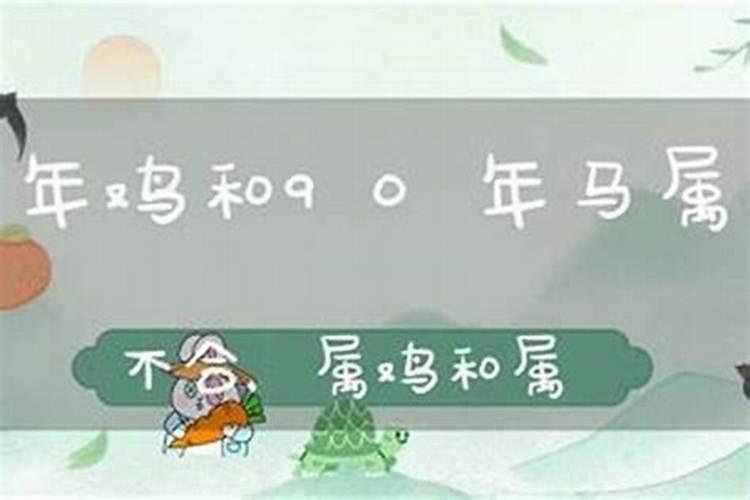 90马与93鸡合婚吗？