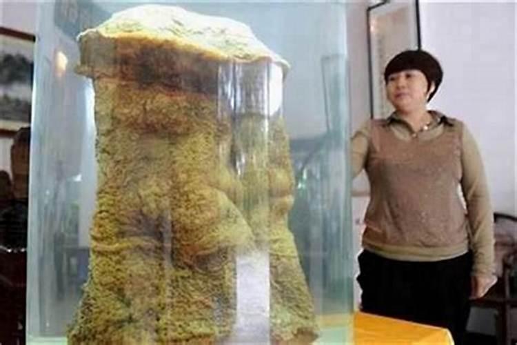 太岁养在家里有何讲究