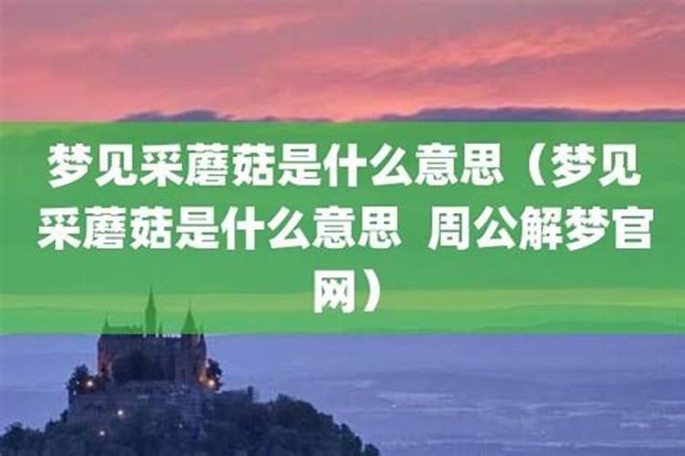 梦见采磨菇是什么意思？