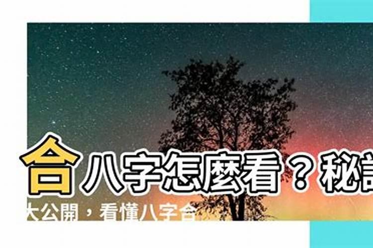 大相合八字不合