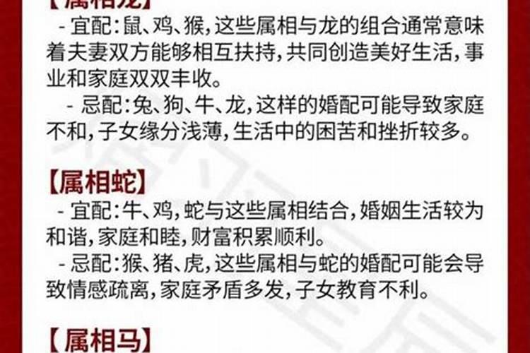 属马的配婚配什么属相好？