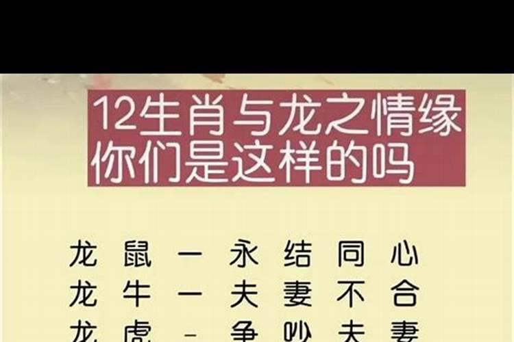 属牛和属马合婚会怎么样？
