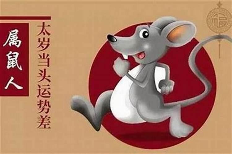 属虎跟属鼠八字合吗？