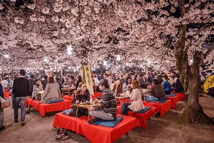 夏至樱花祭