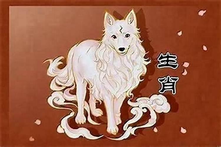 属狗女孩七月出生运势如何？