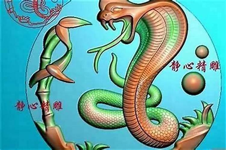 女蛇男属相婚配好吗？