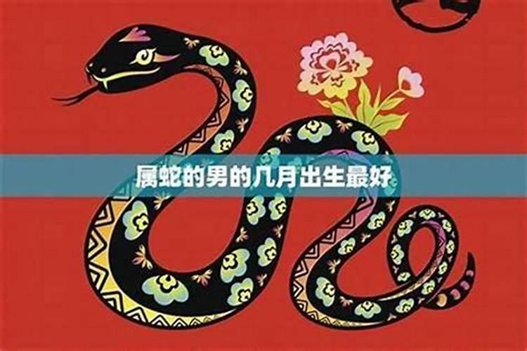 属蛇男人的性格优缺点