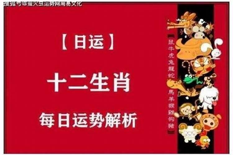 属鸡阴历月份运程如何？