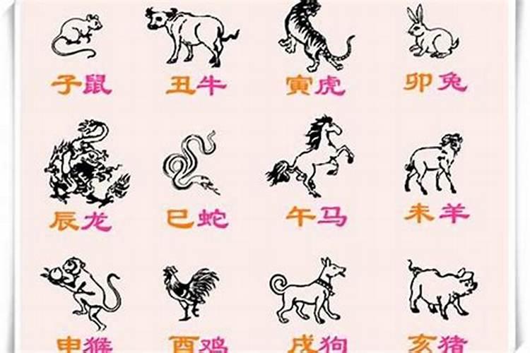 赶走小人的4大生肖是哪几肖的？