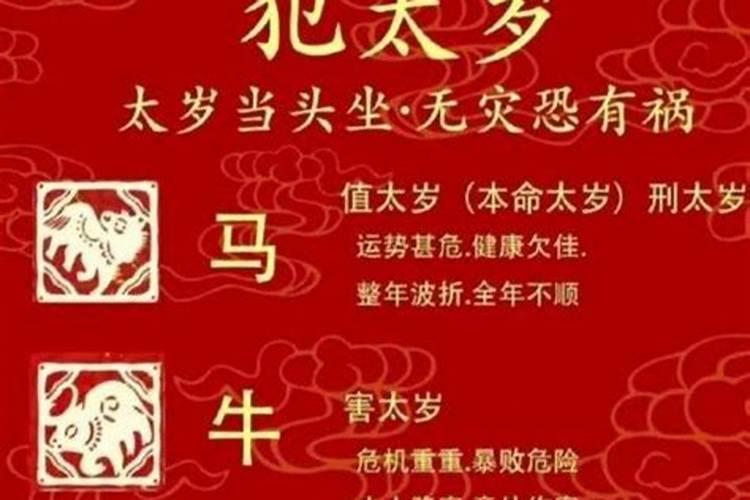 犯太岁生肖供几盏灯？