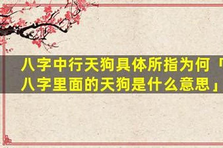 生辰八字天狗是什么意思？