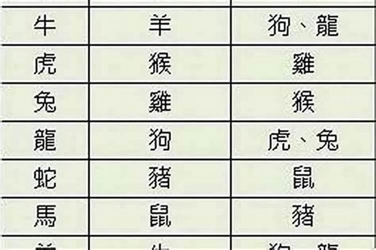 属相不配星座相配婚配好吗？