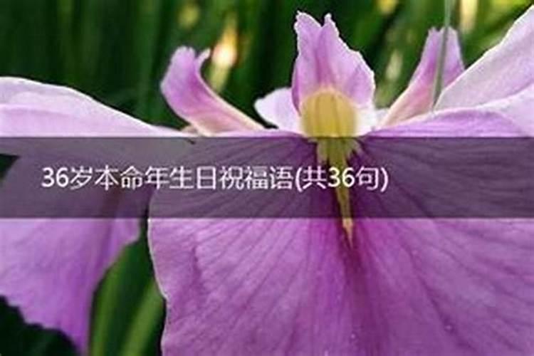 36岁本命年生日感言