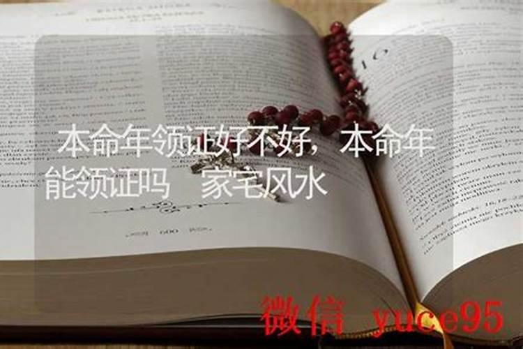 本命年找对象好不好找？