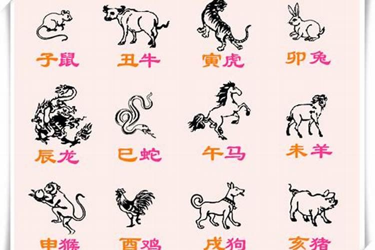 十二生肖什么生肖是小人？