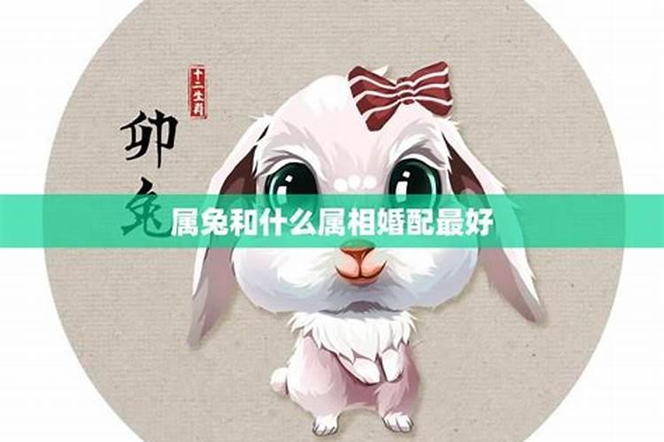 兔女和什么属相婚配？