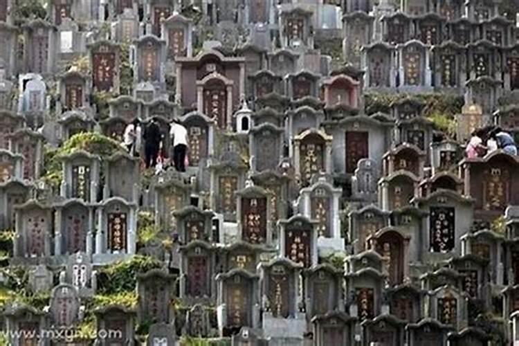 梦到一片墓地是什么意思？