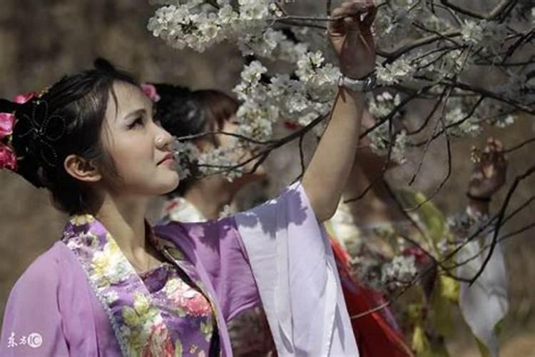 甲午时犯桃花煞吗？