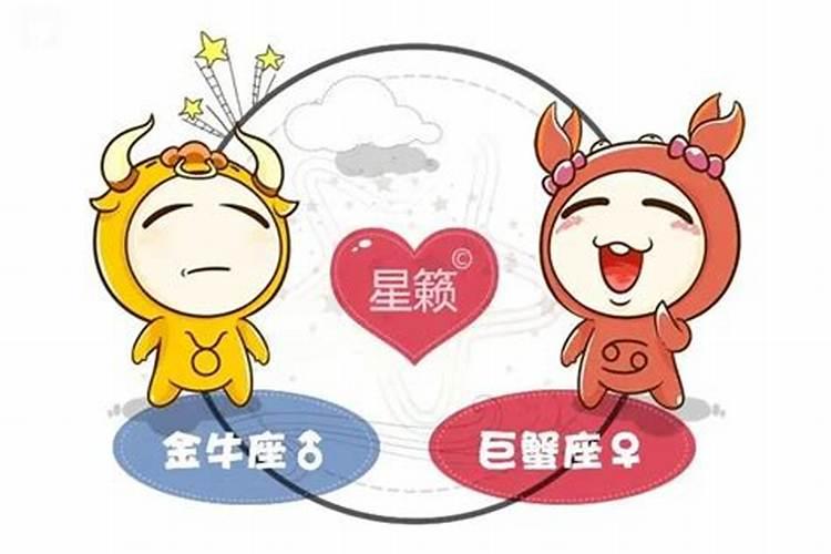 金牛男和金牛女合婚吗？