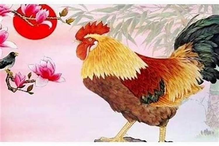 属鸡这几年的运势如何？