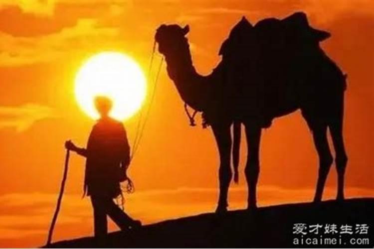 知天命是指什么年纪？