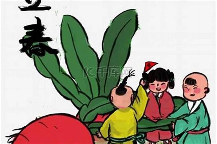立春拔萝卜习俗