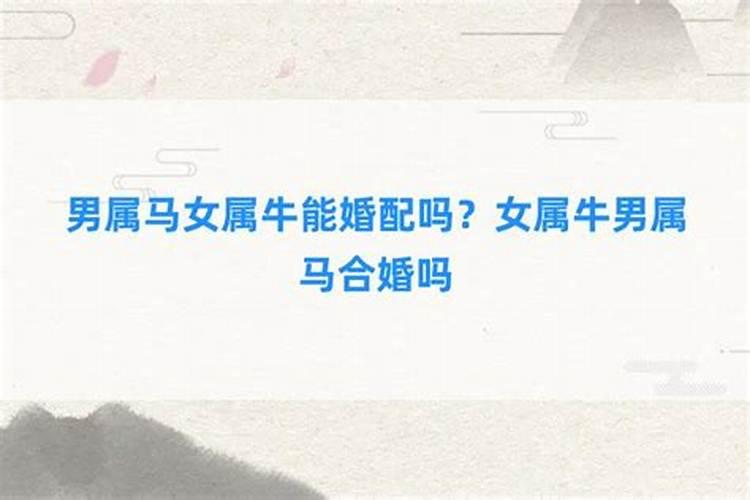 男属牛女属猪合婚吗？