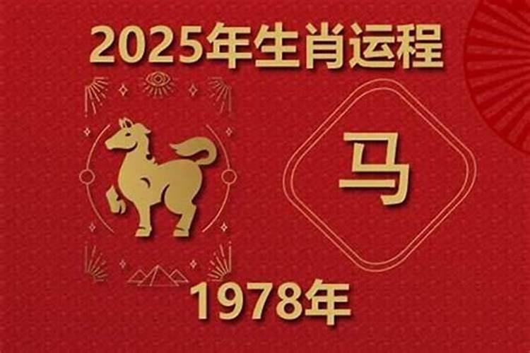 78年的马一生运程
