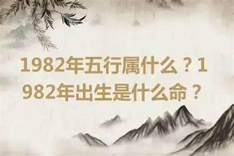 1982年出生的人运程