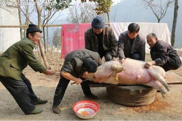 梦见杀猪分肉什么意思？