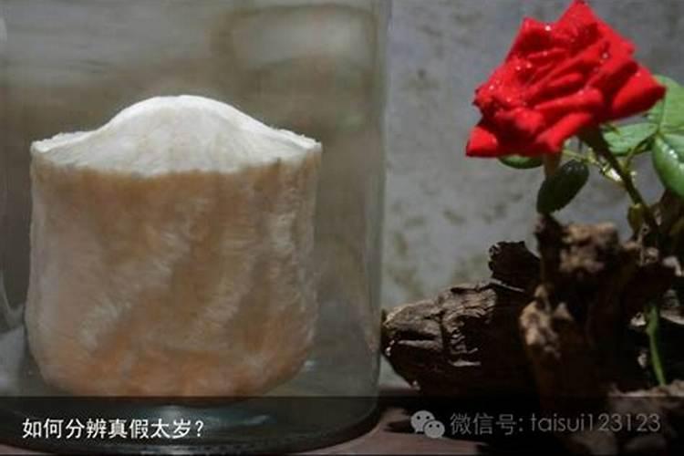 如何辨别太岁的真假？