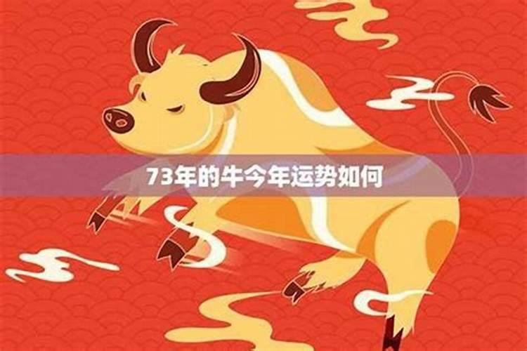 73年腊月初一生属牛男人运程