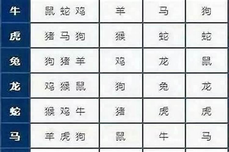 男属鼠婚配什么属相好？
