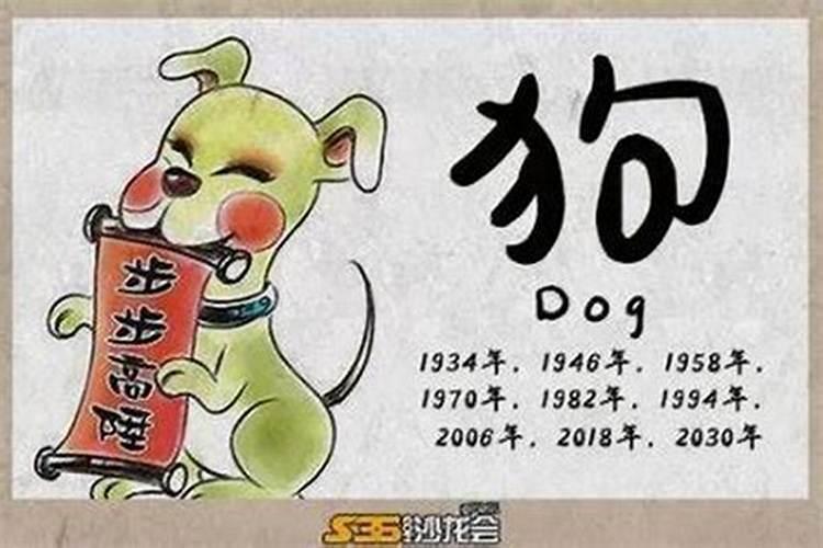 冬至以后属狗的运气