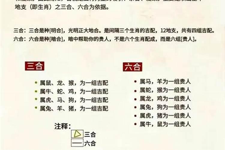八字合不合讲的是哪八？