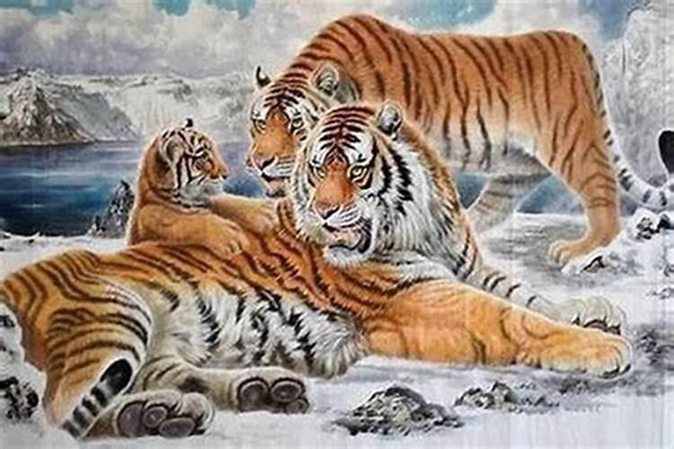 属虎的跟属虎的合婚吗？